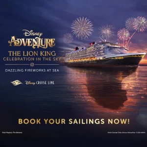 disney cruise firework